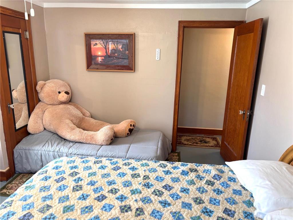 602 Marshall Avenue NE Red Lake Falls MN 56750 - Red Lake River 7088969 image28