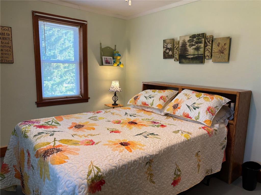 602 Marshall Avenue NE Red Lake Falls MN 56750 - Red Lake River 7088969 image31