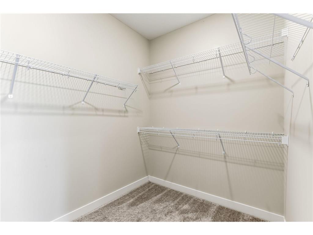6026 Idsen Avenue S Cottage Grove MN 55016 7094681 image30