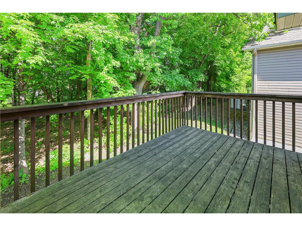 6030 Boulder Ridge Drive Rockford MN 55373 7070421 image29