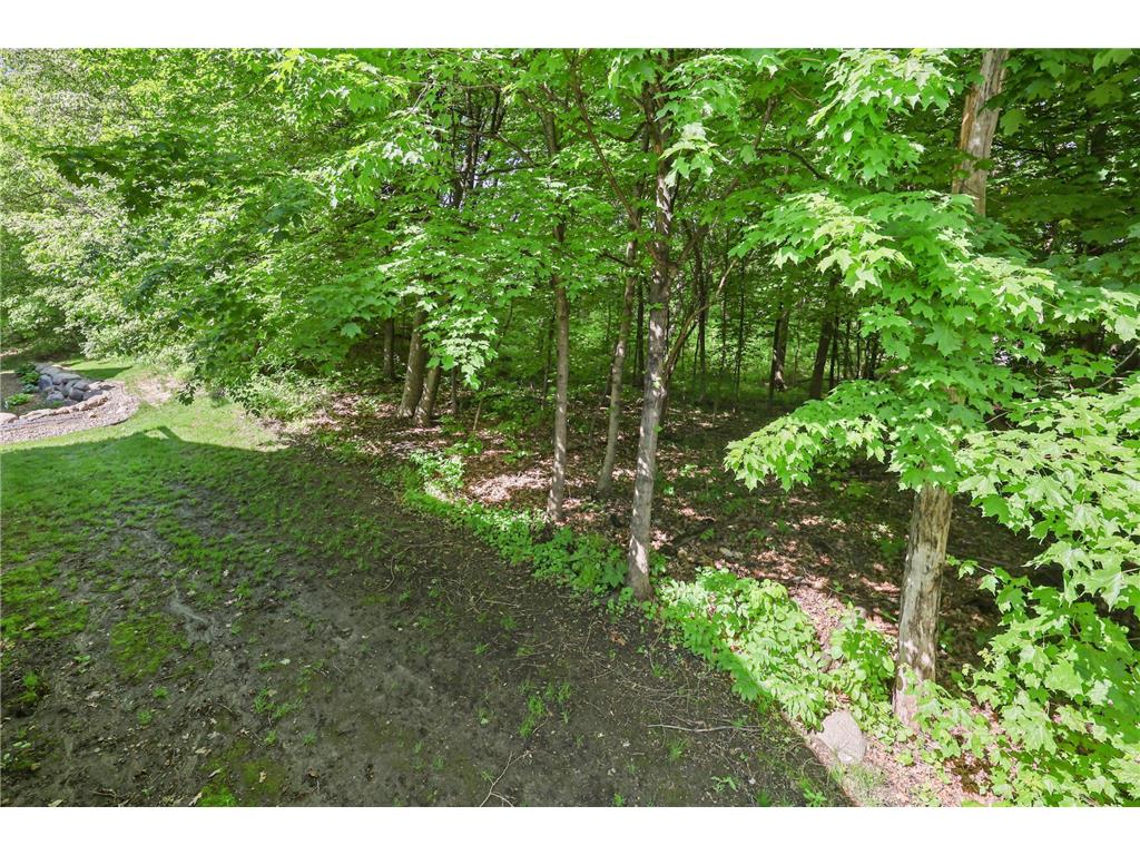 6030 Boulder Ridge Drive Rockford MN 55373 7070421 image50