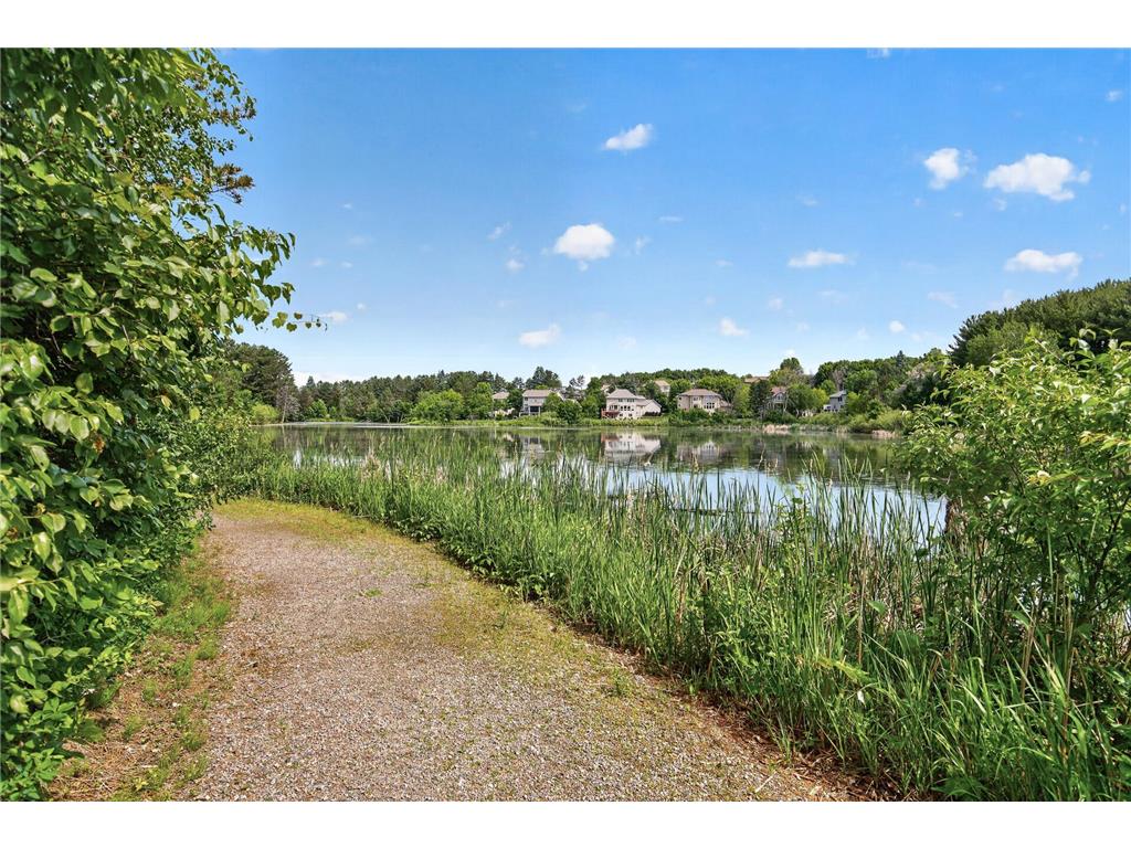 6030 Lanewood Lane N Plymouth MN 55446 7029403 image82