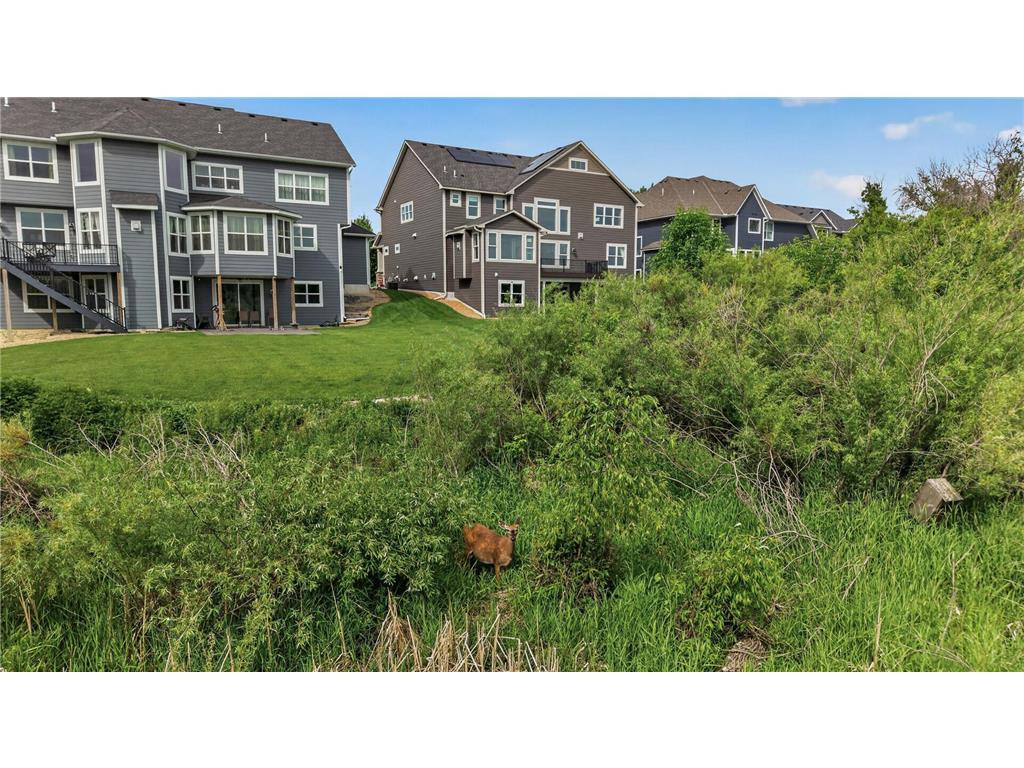 6030 Lanewood Lane N Plymouth MN 55446 7029403 image96