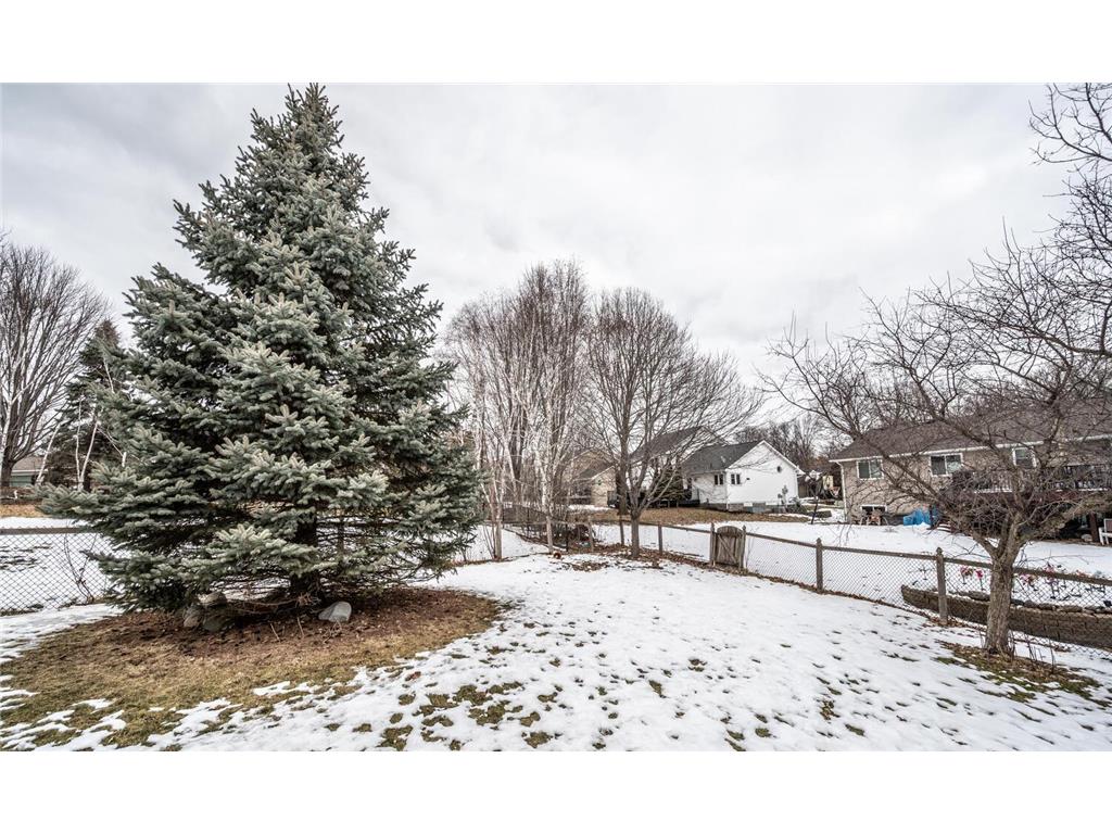 6030 Meadowood Court Savage MN 55378 7009527 image29