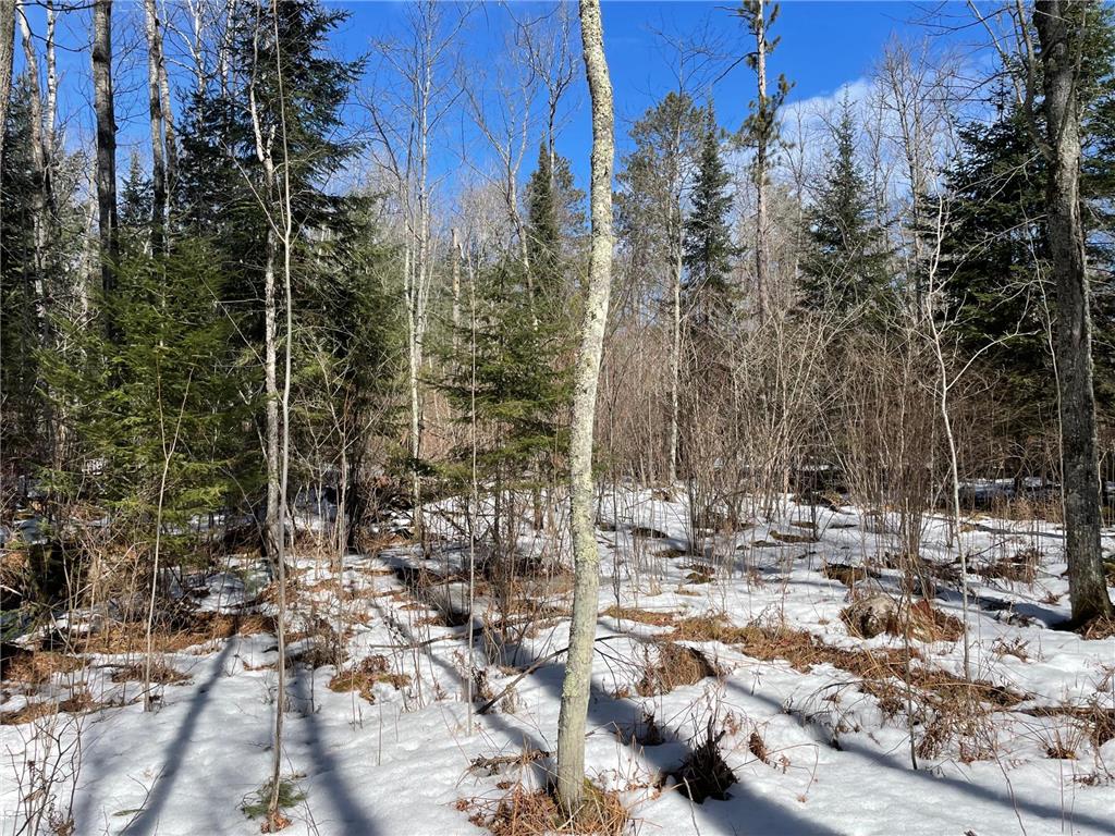 6032 Voyageurs Trail Biwabik MN 55708 - Wynne 6692334 image2