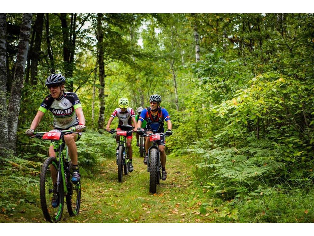 6032 Voyageurs Trail Biwabik MN 55708 - Wynne 6692334 image27