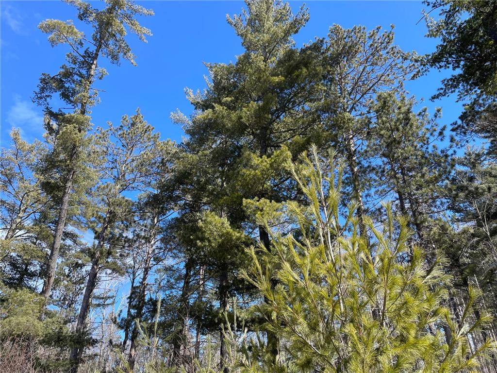 6032 Voyageurs Trail Biwabik MN 55708 - Wynne 6692334 image3