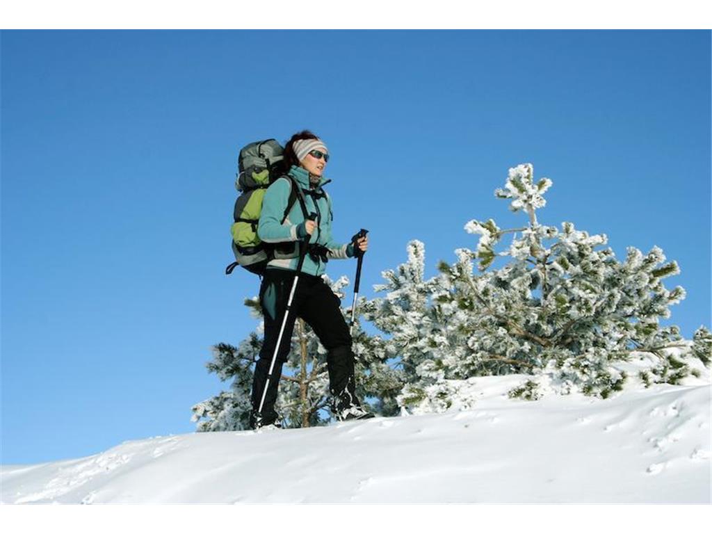 6032 Voyageurs Trail Biwabik MN 55708 - Wynne 6692334 image30