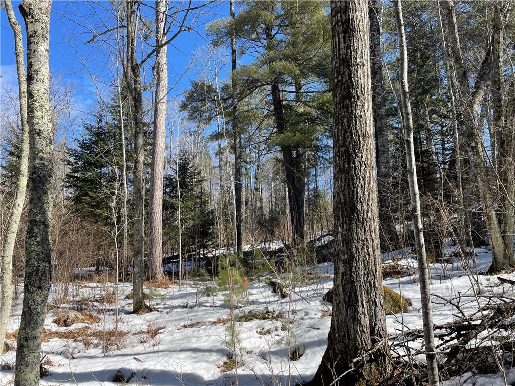 6032 Voyageurs Trail Biwabik MN 55708 - Wynne 6692334 image5