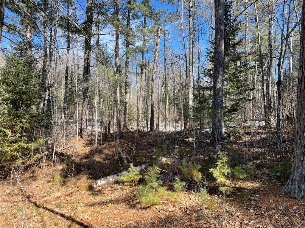 6032 Voyageurs Trail Biwabik MN 55708 - Wynne 6692334 image7