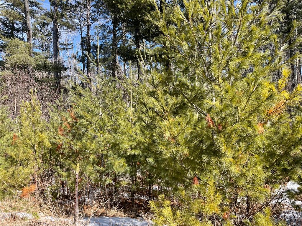 6032 Voyageurs Trail Biwabik MN 55708 - Wynne 6692334 image8