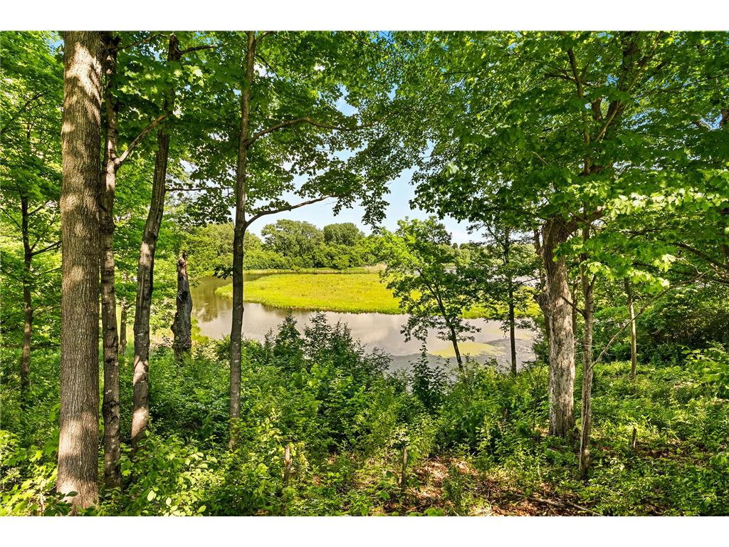 604 Nelson Lane Center City MN 55012 - Pioneer Lake 7083277 image5