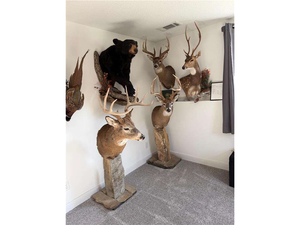 604 S Dekalb Street Redwood Falls MN 56283 7060468 image32