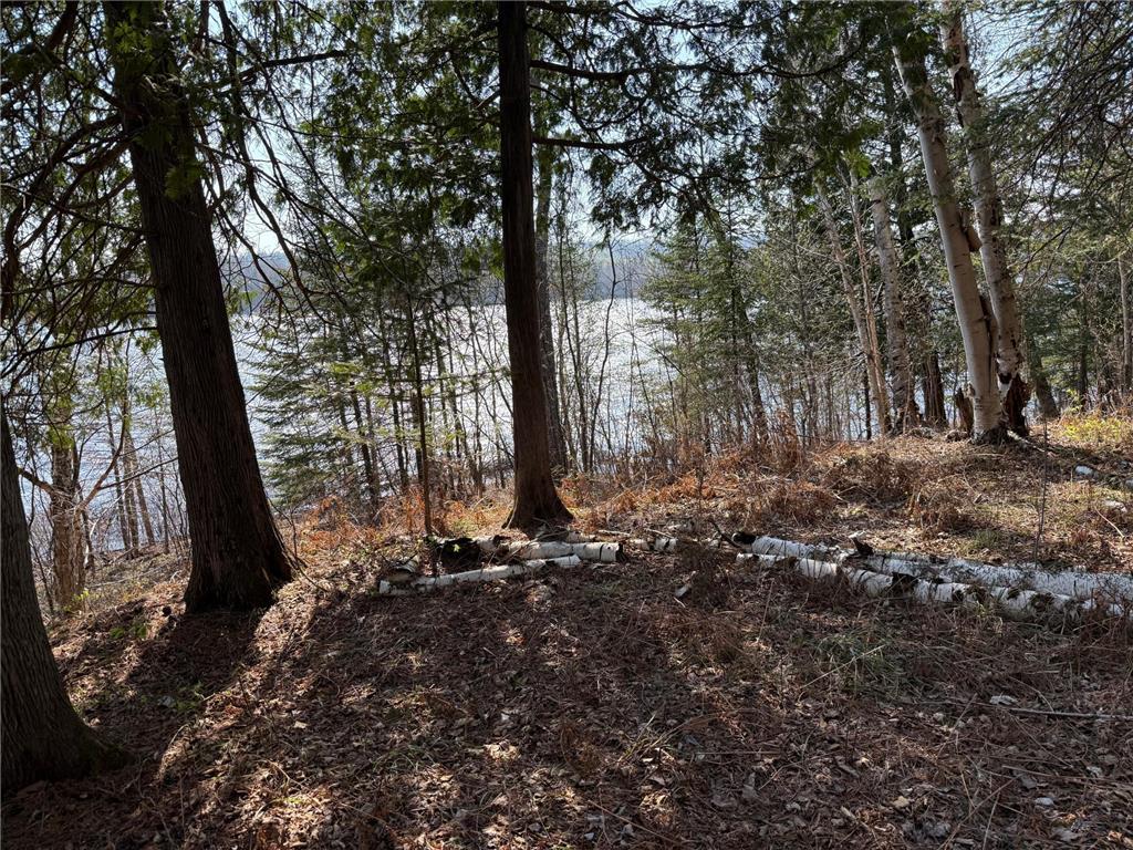 6041 Voyageurs Trail Biwabik MN 55705 - Wynne 6717898 image1