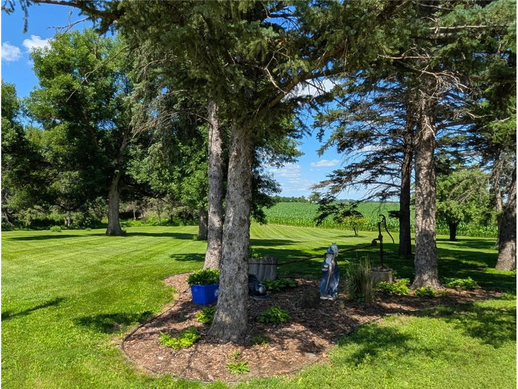 6045 20th Street SW Montevideo MN 56265 6816846 image9