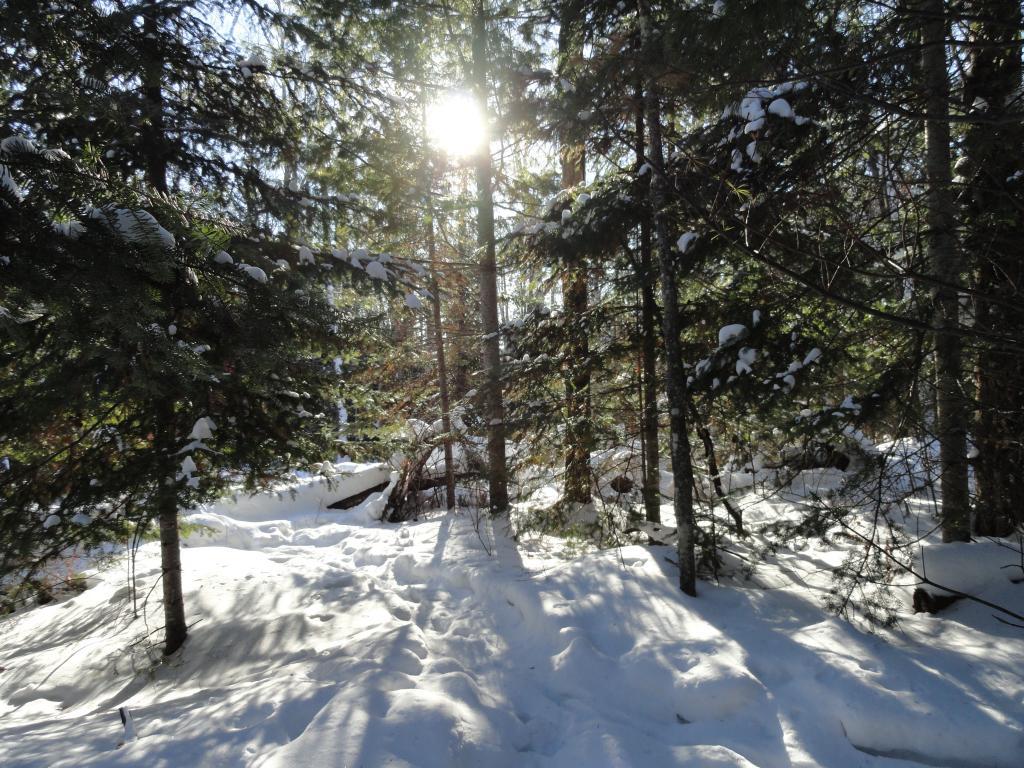 6047 Voyageurs Trail, Biwabik, MN, 55708 MLS 4992488 Edina Realty