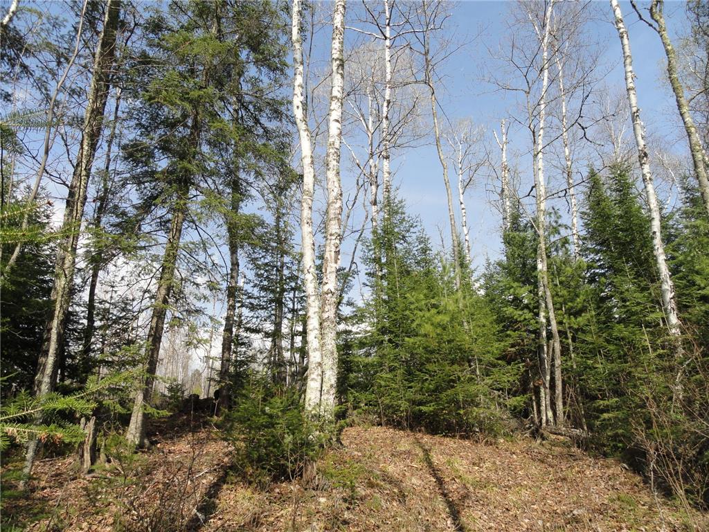 6047 Voyageurs Trail Biwabik MN 55708 - Wynne 6773022 image1