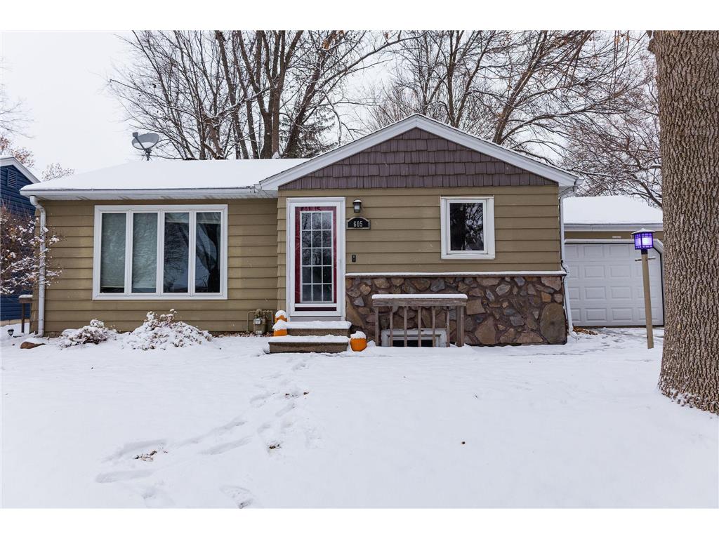 605 E Hawthorne Street, Albert Lea, MN, 56007 MLS 6309481 Edina Realty