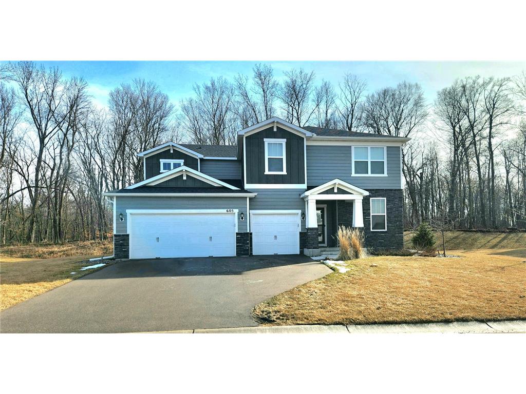 605 Lilium Trail Medina MN 55340 6479960 image1