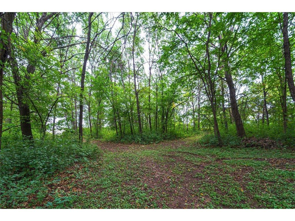 6050 Cahill Avenue Inver Grove Heights MN 55076 6786688 image8