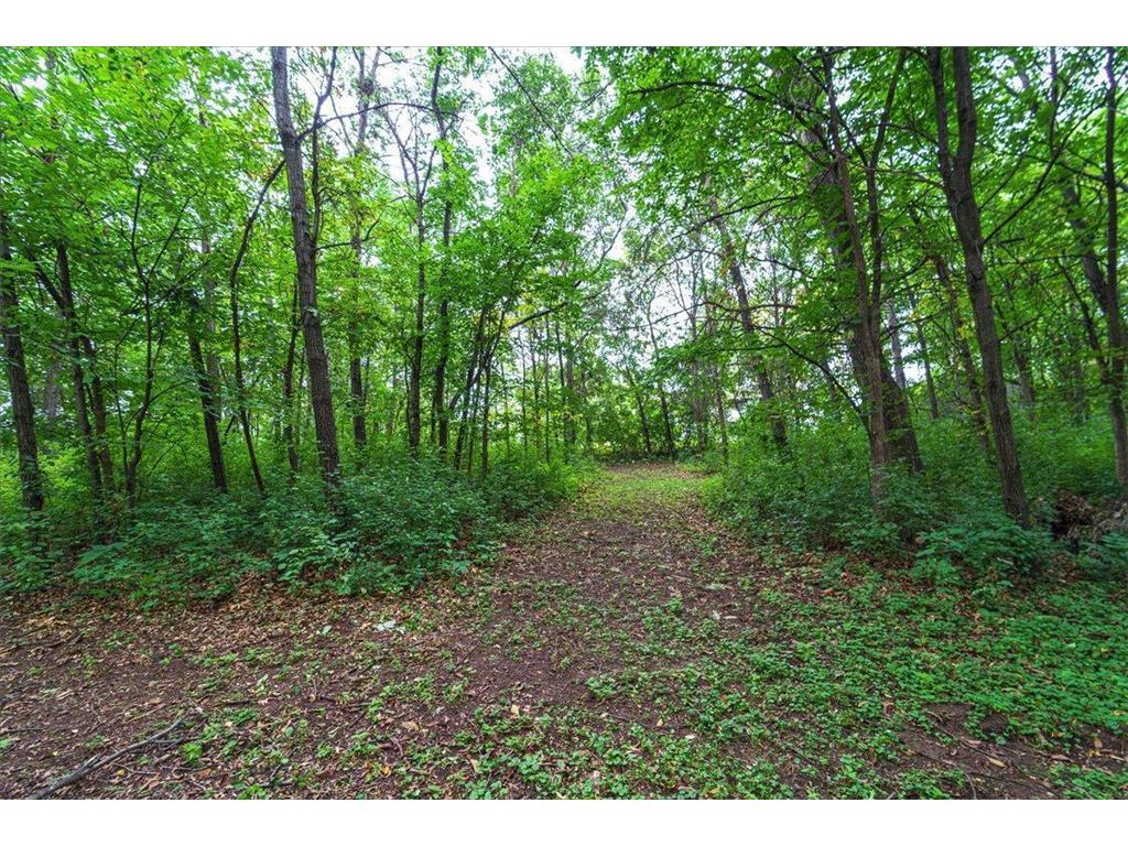 6050 Cahill Avenue Inver Grove Heights MN 55076 6786688 image9