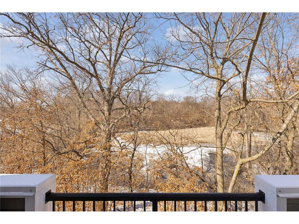6050 Chasewood Parkway #202 Minnetonka MN 55343 7029520 image14