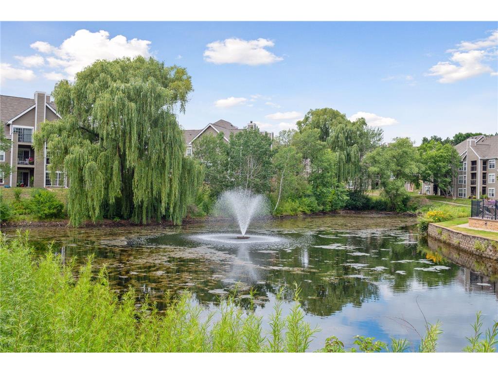 6050 Chasewood Parkway #202 Minnetonka MN 55343 7029520 image26