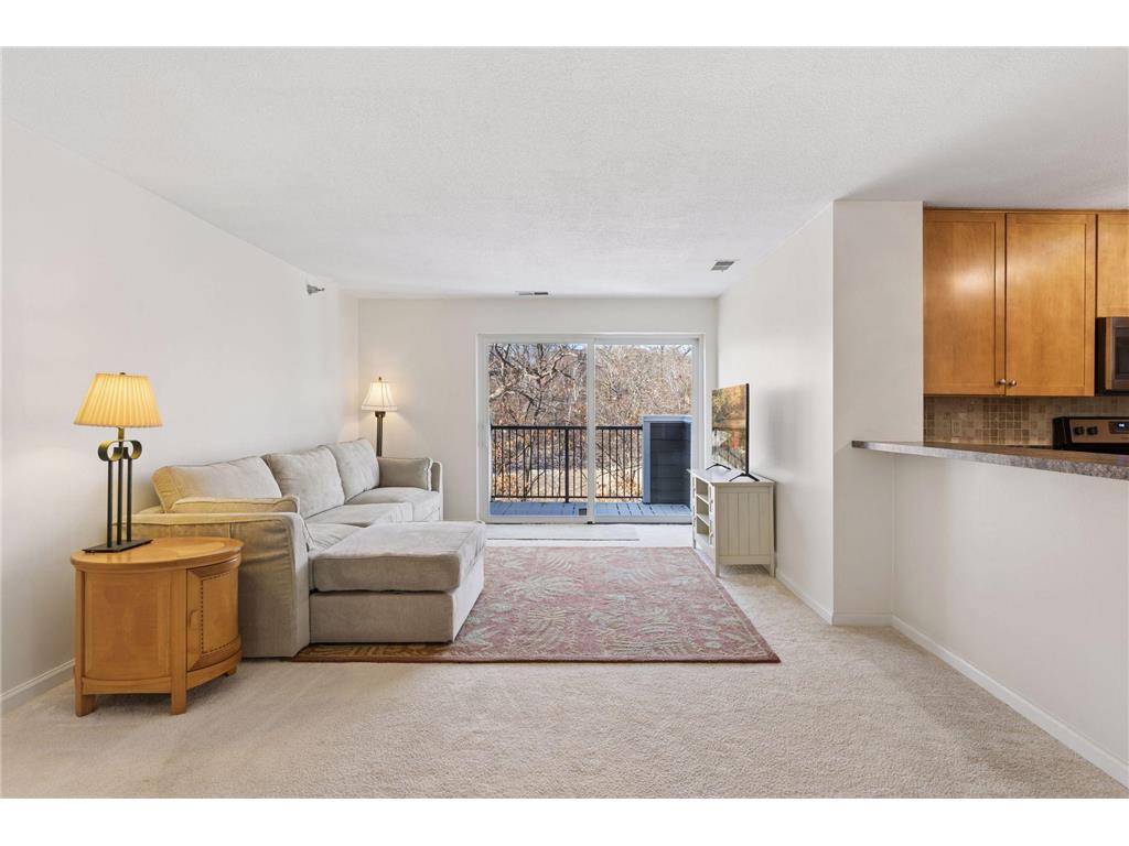 6050 Chasewood Parkway #202 Minnetonka MN 55343 7029520 image3