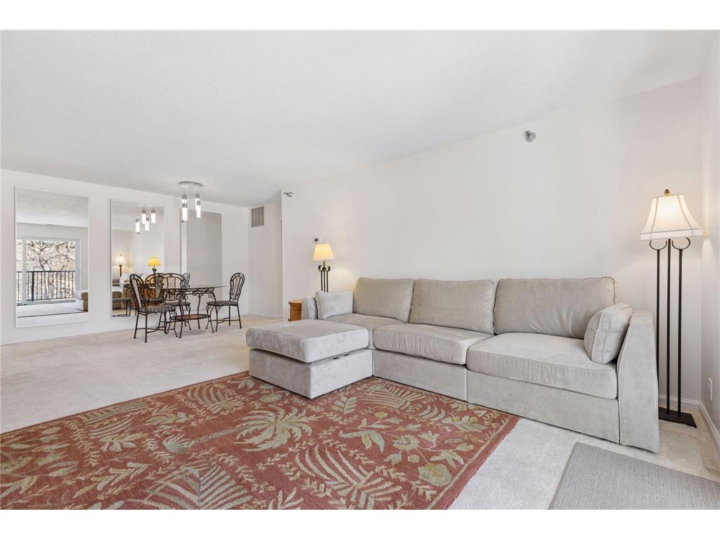 6050 Chasewood Parkway #202 Minnetonka MN 55343 7029520 image4