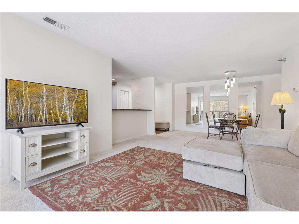 6050 Chasewood Parkway #202 Minnetonka MN 55343 7029520 image5