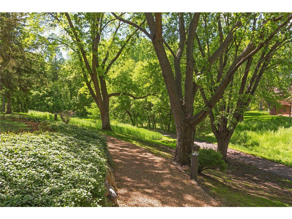 6051 Laurel Avenue #112 Golden Valley MN 55416 7085832 image41