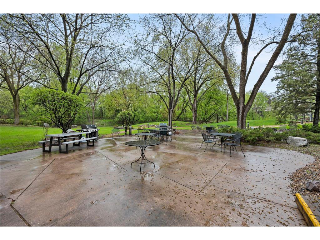 6051 Laurel Avenue #207 Golden Valley MN 55416 7058537 image17