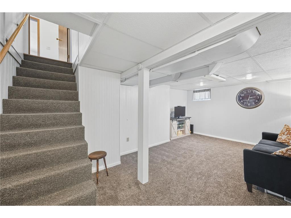 606 S 10th Street Olivia MN 56277 7023439 image25