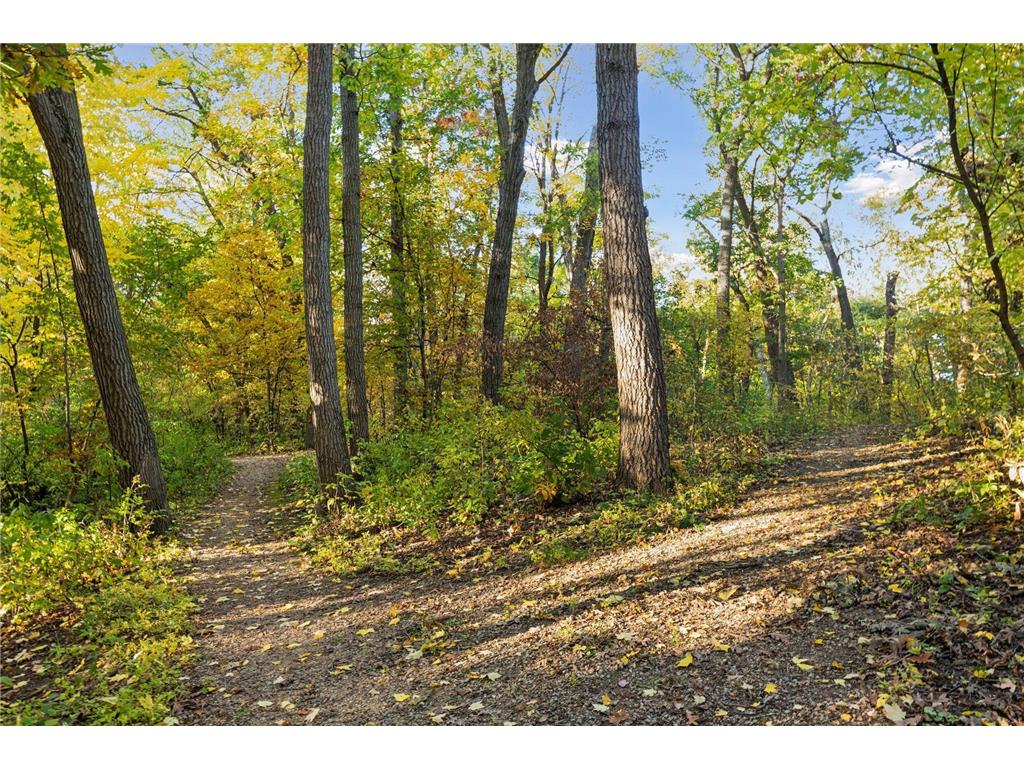 6061 Hillsboro Avenue N New Hope MN 55428 7046900 image57