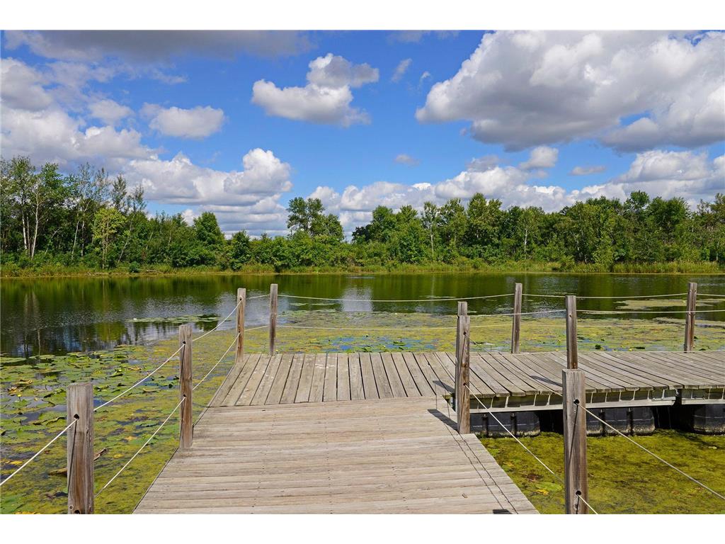 6061 Hillsboro Avenue N New Hope MN 55428 7046900 image64