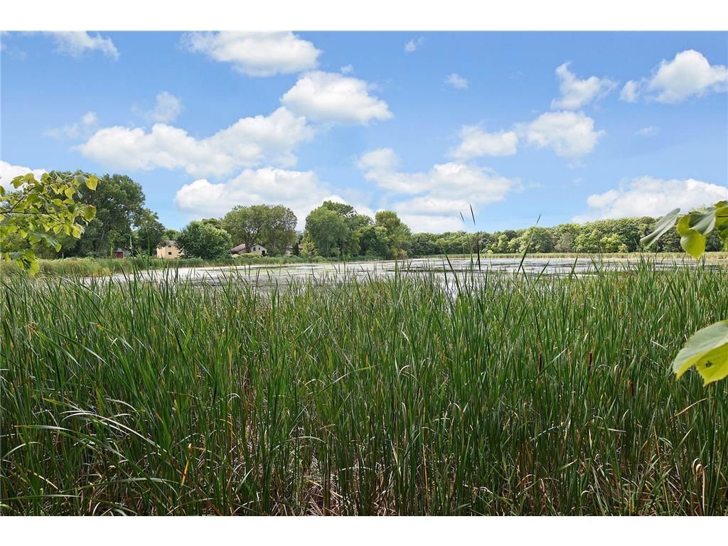 6061 Hillsboro Avenue N New Hope MN 55428 7046900 image72
