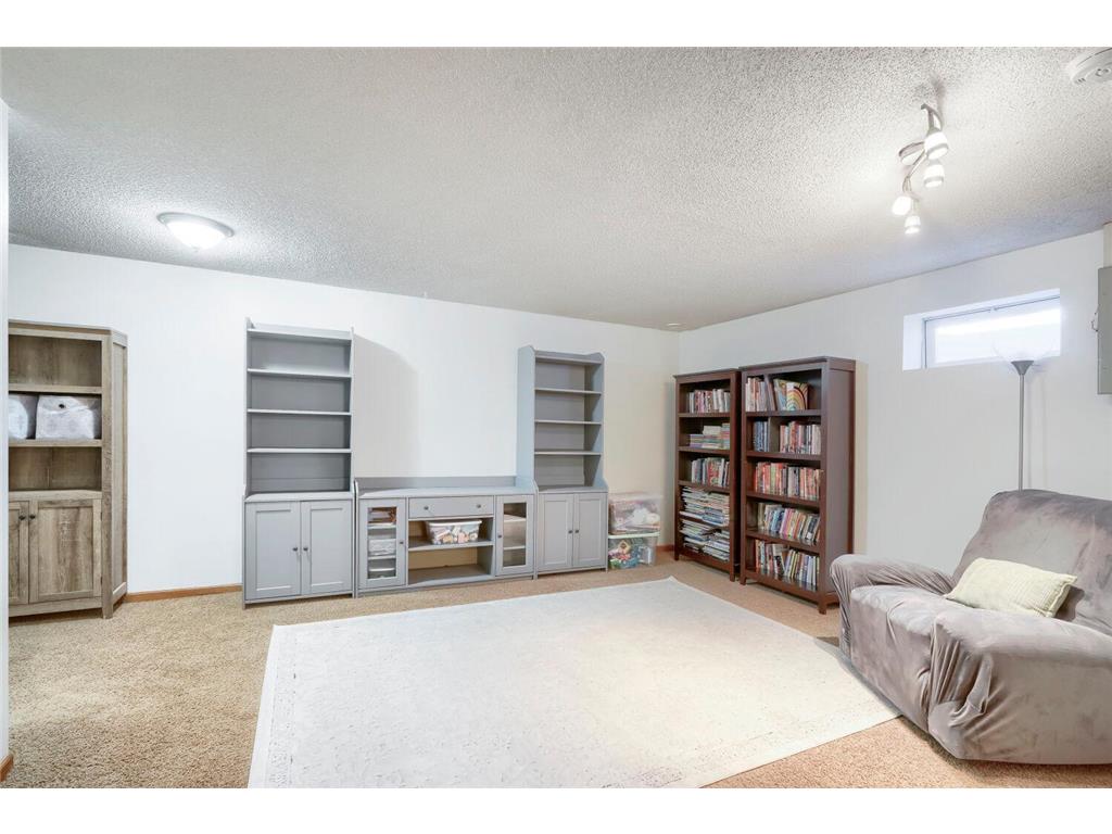 607 Pleasant Drive Hastings MN 55033 7072836 image17