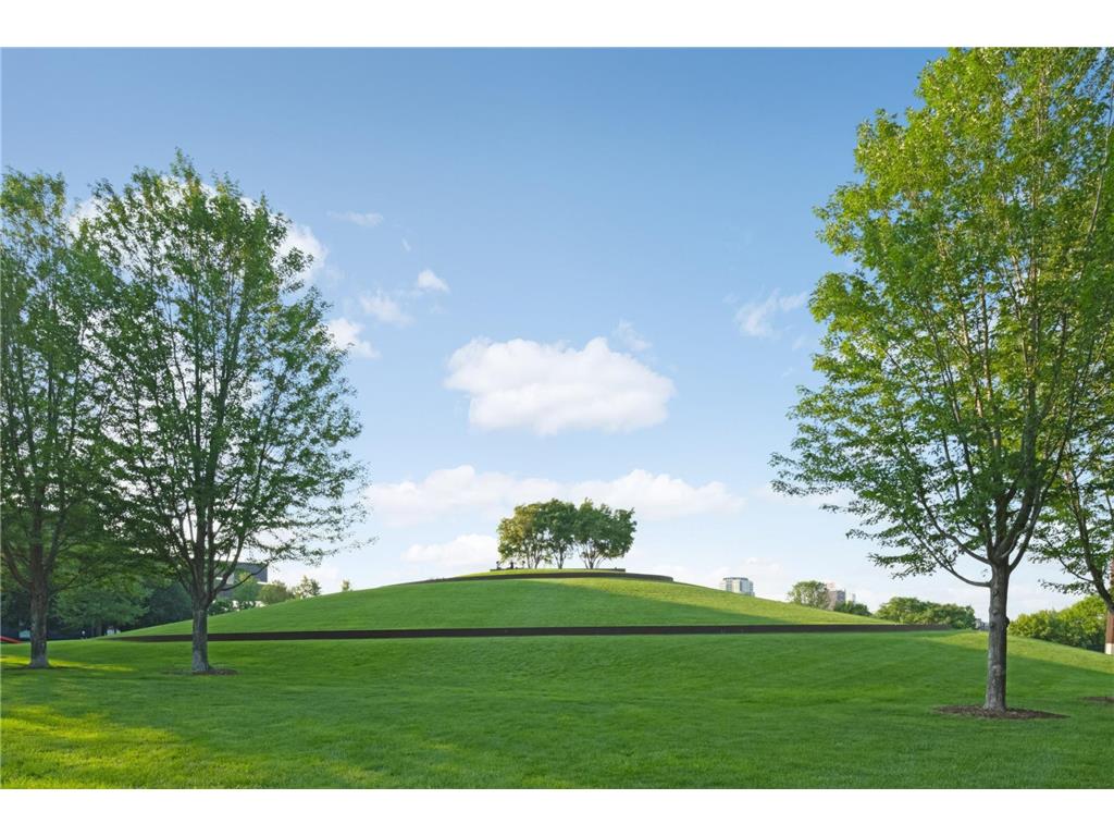 607 Washington Avenue S #302 Minneapolis MN 55415 7023716 image30