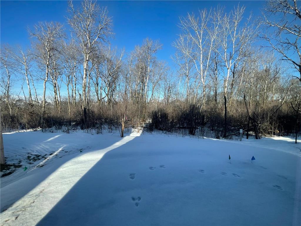 6070 157th Street N Hugo MN 55038 6784940 image15