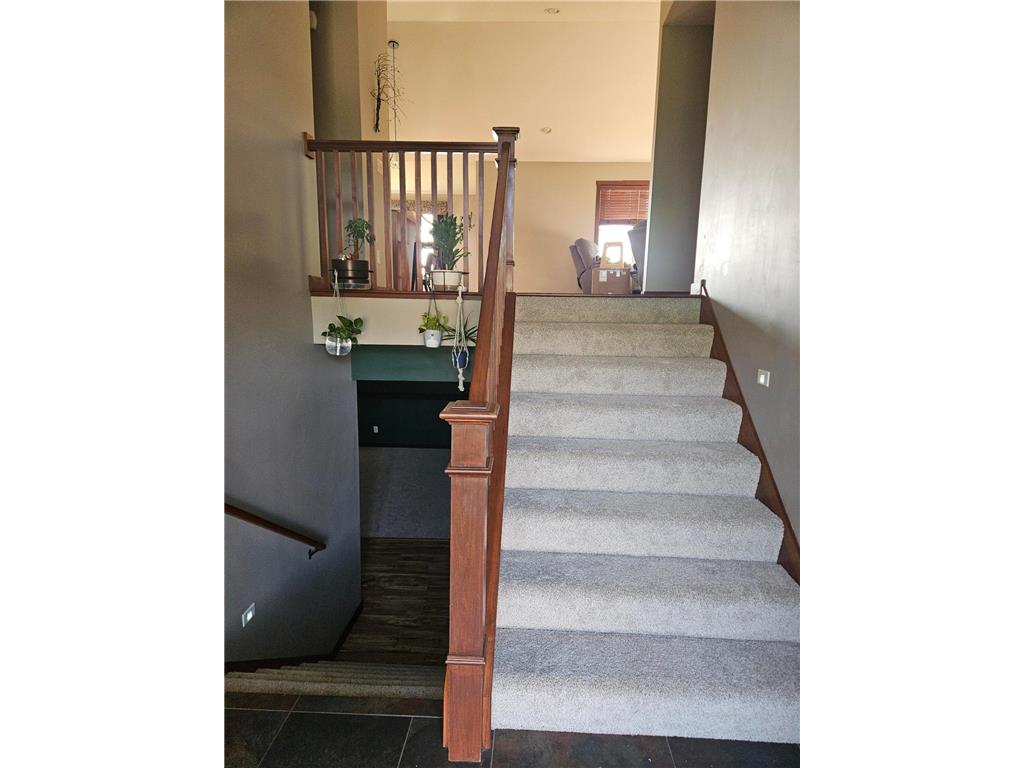 60722 254th Avenue Mantorville Twp MN 55955 7086647 image11