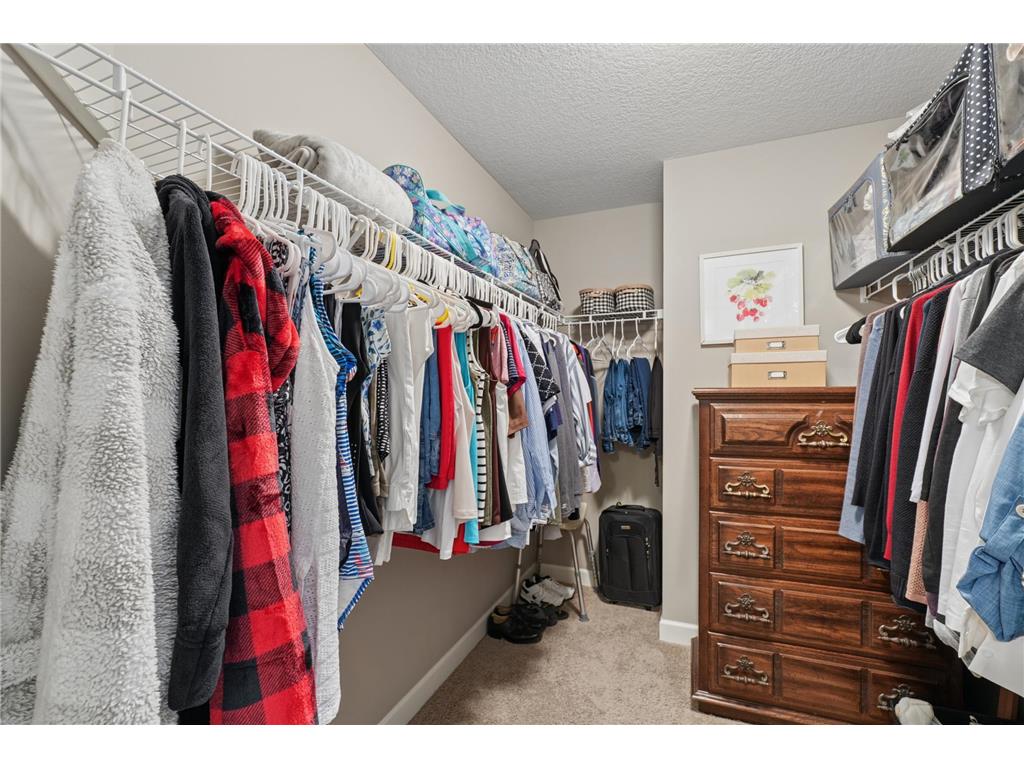 6073 146th Avenue NW Ramsey MN 55303 7074823 image28