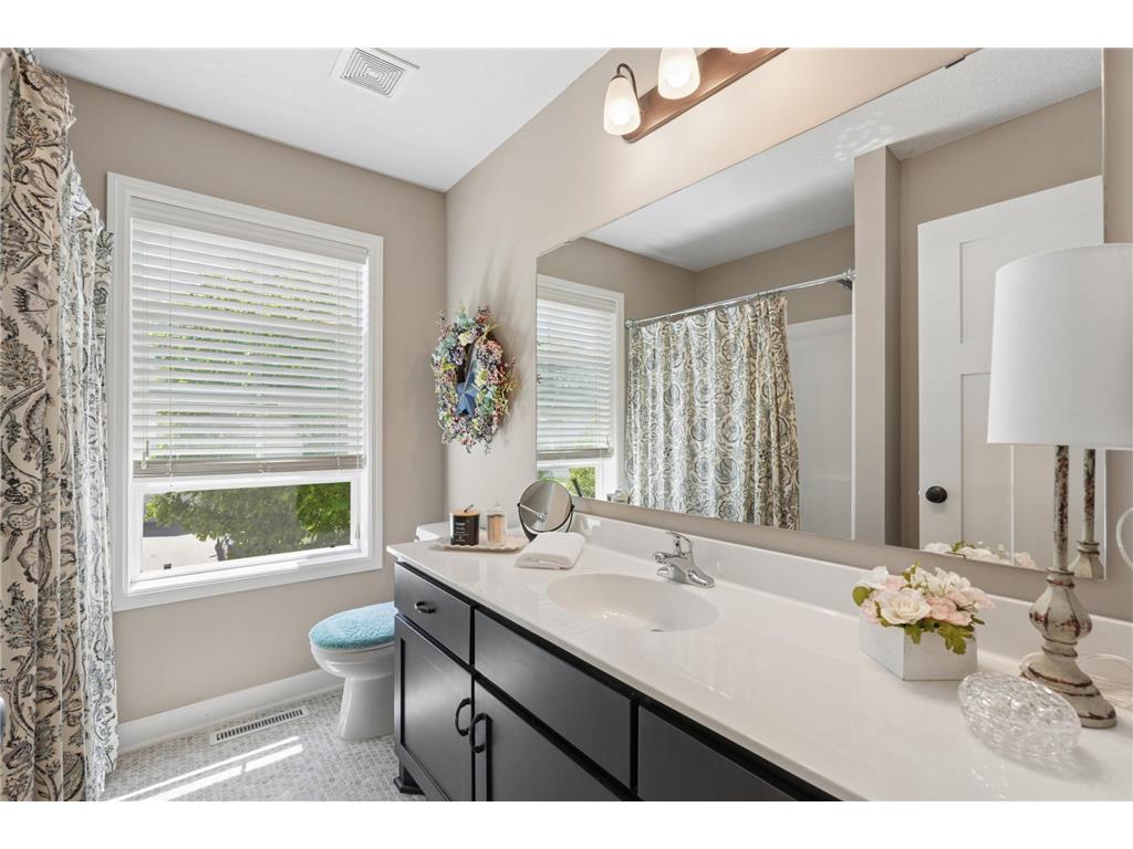 6073 146th Avenue NW Ramsey MN 55303 7074823 image35