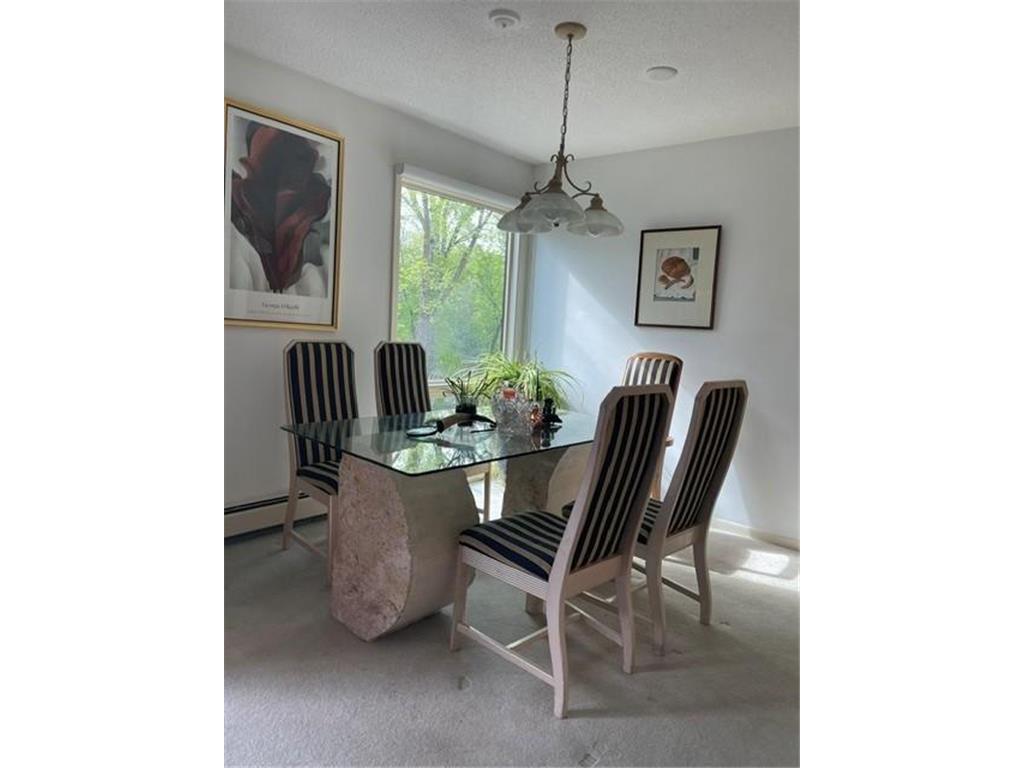 6075 Lincoln Drive #203 Edina MN 55436 7071007 image6