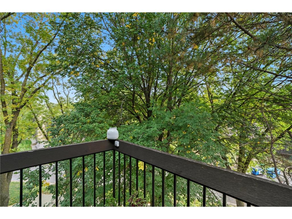 6075 Lincoln Drive #305 Edina MN 55436 6780736 image28