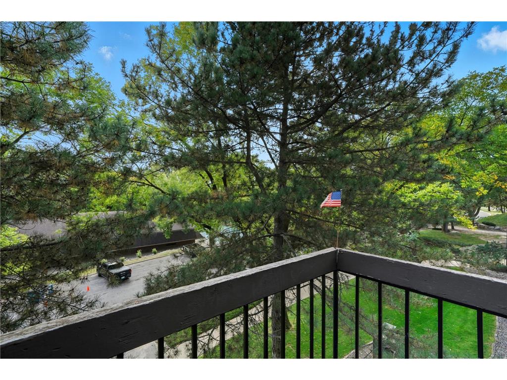 6075 Lincoln Drive #305 Edina MN 55436 6780736 image29