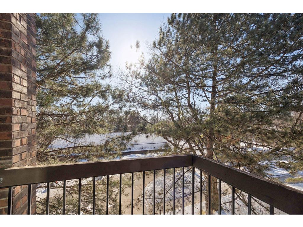 6075 Lincoln Drive #305 Edina MN 55436 7014112 image47