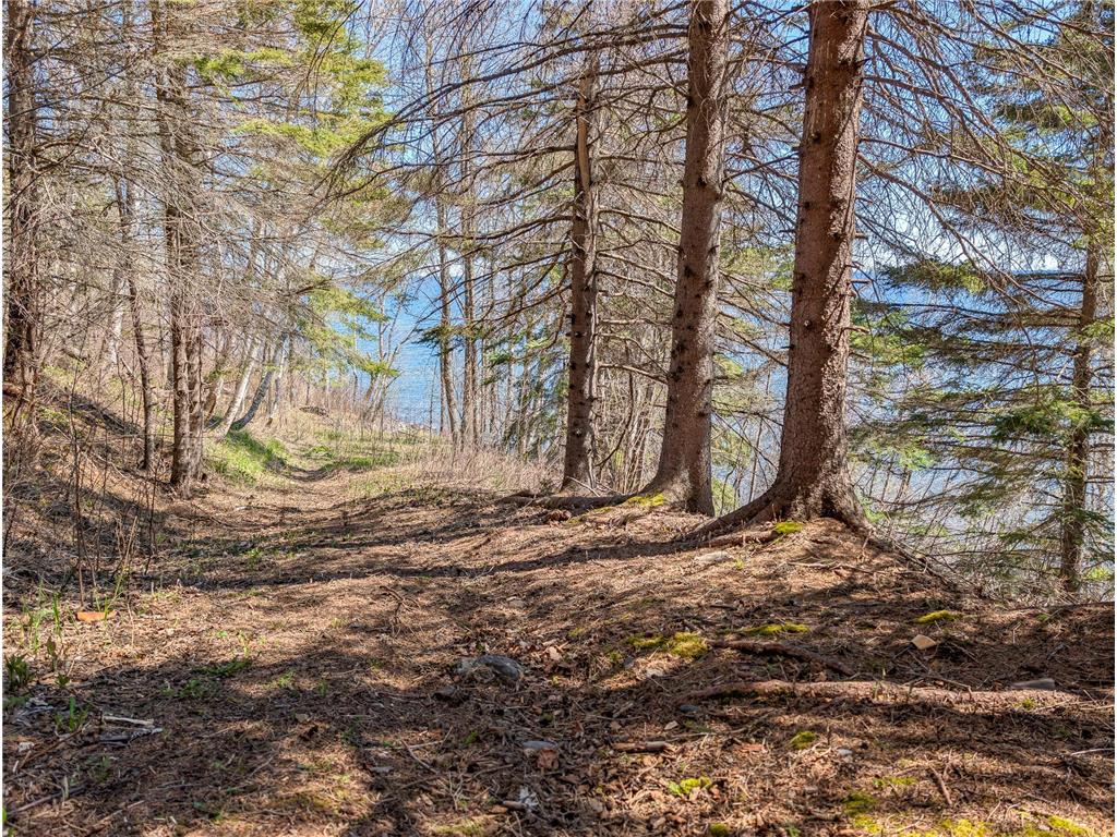 6076 Highway 61 Beaver Bay Twp MN 55614 - Superior 7099948 image30