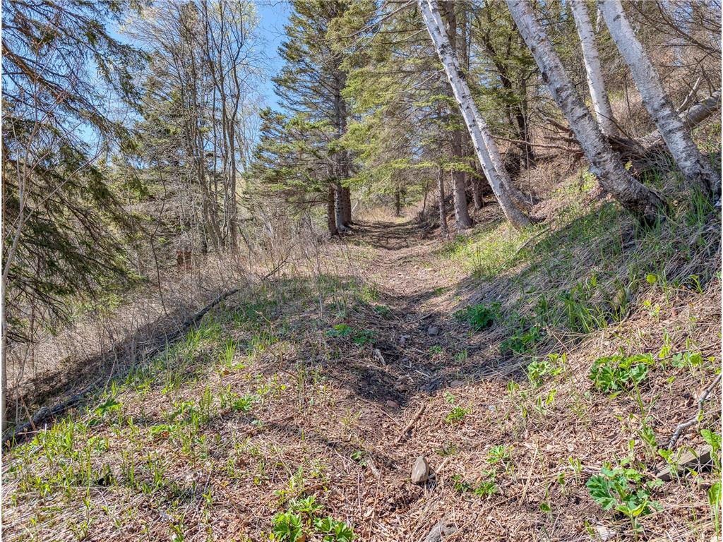 6076 Highway 61 Beaver Bay Twp MN 55614 - Superior 7099948 image42