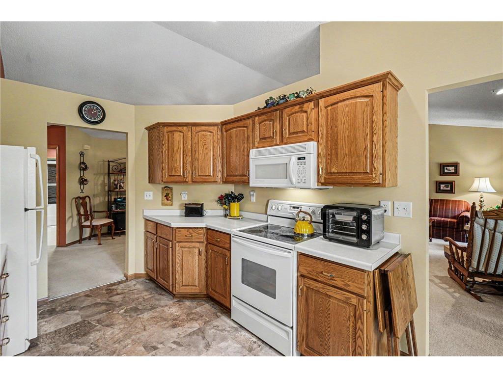 608 Cherrywood Court Red Wing MN 55066 7081505 image13