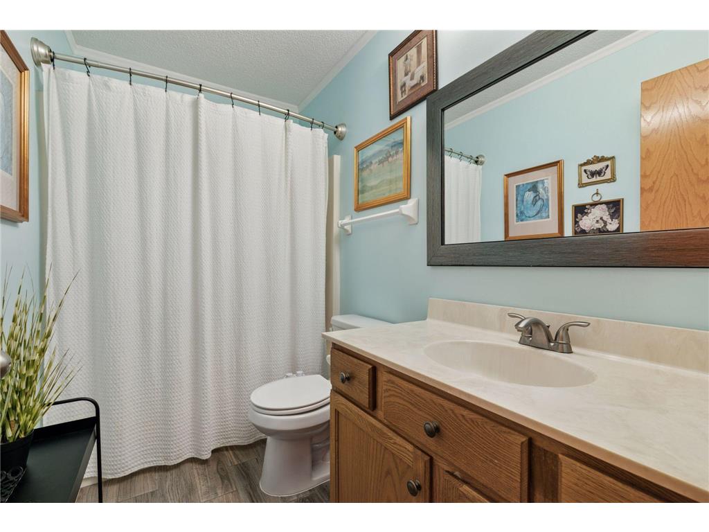 6081 N Ridge Drive Savage MN 55378 7015335 image31